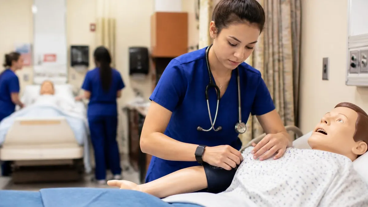 BSN to PhD: Complete Guide to Nursing Doctorate Programs, Requirements, and Career Outcomes