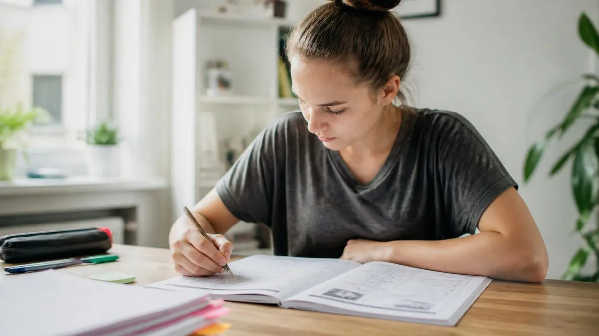 Fuhrerschein Theorie Kostenlos Lernen - Führerschein Theorieprüfung certification study resource