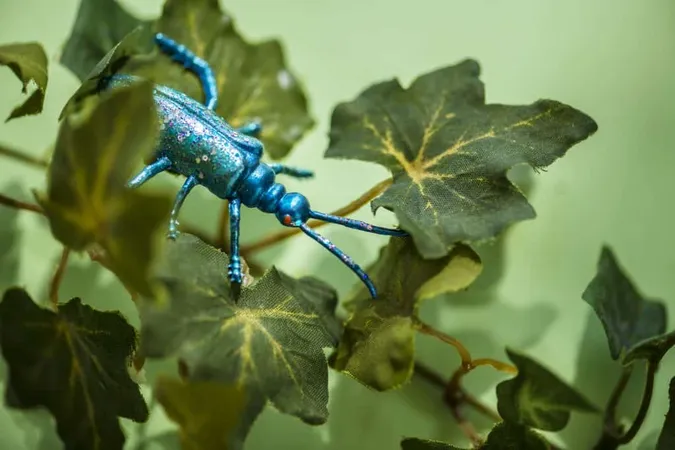 Plastic Insect Green Leaves X - Associate Certified Entomologist study guide