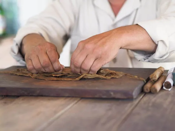 Midsection Man Making Cigars Table X - Responsible Service of Tobacco study guide