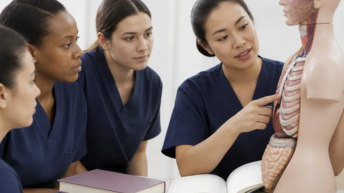 Curriculum: What You'll Actually Study - BSN - Degree Bachelor of Science in Nursing certification study resource
