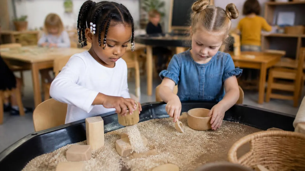 Coeur D Alene - CDA - Child Development Associate certification study resource