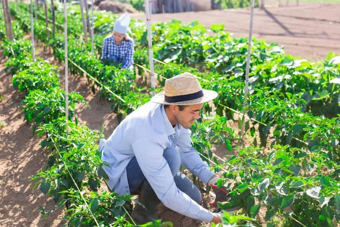 AFIS Test: Your Path to Farm Insurance Success - Agribusiness and Farm Insurance Specialist exam preparation