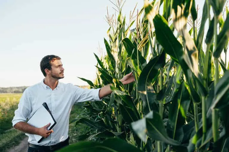 Agronomy - Agronomy