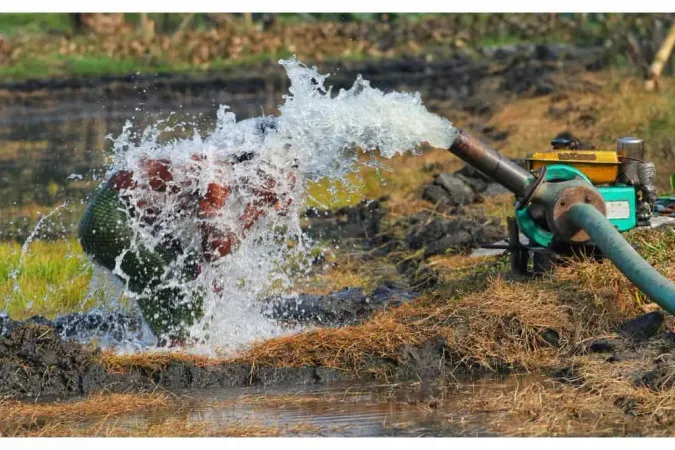 Autoimmune Protocol Certified Coach Explained: Supporting Clients with Chronic Illness - Autoimmune Protocol Certified Coach certification guide