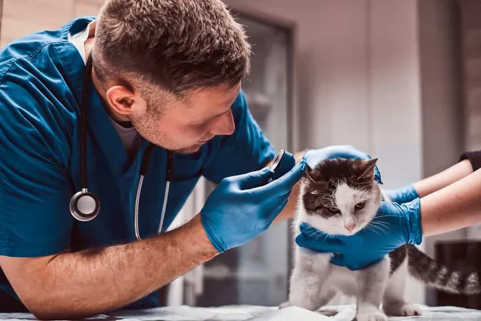 Alat Certification Classes - Assistant Laboratory Animal Technician study guide