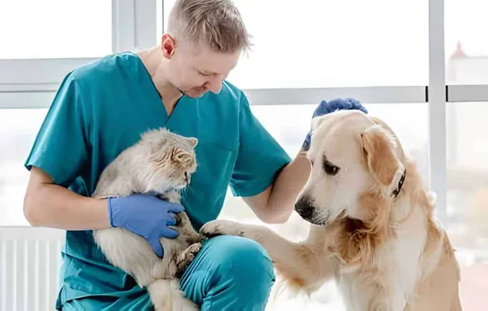 Animal Welfare X - Assistant Laboratory Animal Technician study guide