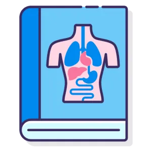 Atlas X - Anatomy Exam study guide