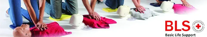 Basic Life Support Bls - Basic life support