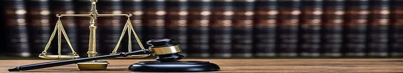 Bachelor Of Criminal Justice Degree - BCJ Bachelor of Criminal Justice study guide