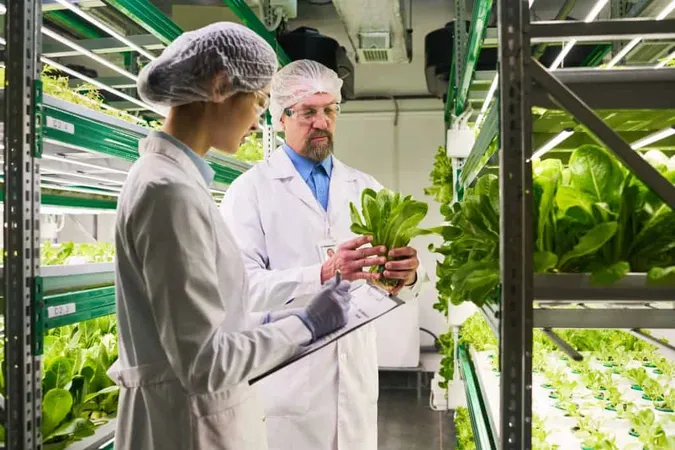 Side View Two Intercultural Scientists Studying New Sorts Spinach X - Certified Agricultural Consultant study guide