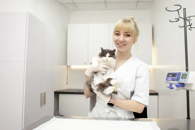 Girl Veterinarian Uniform Holds Sick Cat Smiles Veterinary Clinic Against Workplace X - Certified Veterinary Chiropractor study guide