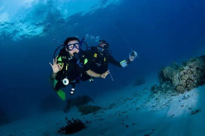 CAT (Certified Aquatic Technicians) Test: What to Know - Certified Aquatic Technicians certification guide