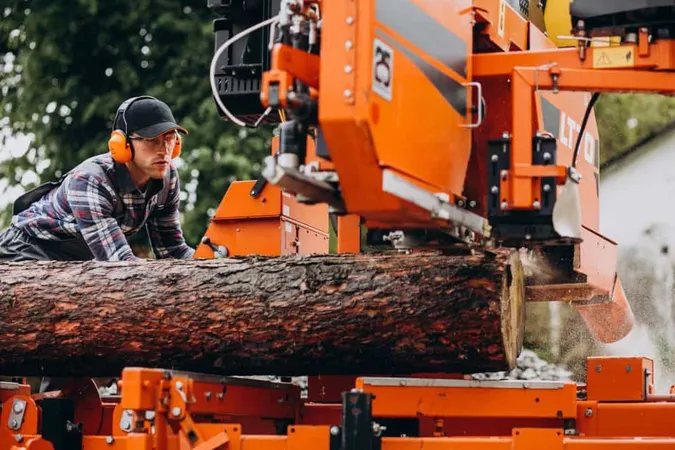 Carpenter Working Sawmill Wood Manufacture X - Certified Arborist Tree Service of Albuquerque study guide