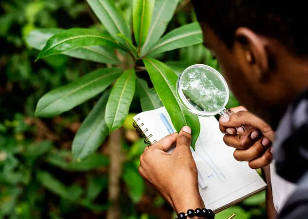 Freepicdownloader. Biologist Forest Medium 1 - Certified Carbon Auditor study guide
