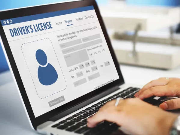 International Driver S License Card Identification Data Information Concept X - Comprehensive Driver’s Education study guide