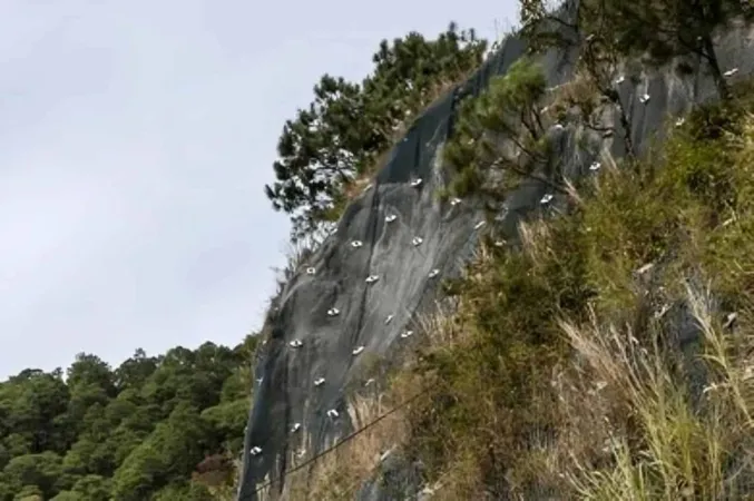 Soil Erosion Control 2 X - Certified Erosion Prevention and Sediment Control Inspector study guide