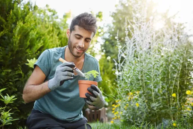 Close Up Mature Bearded Caucasian Man Blue T Shirt Planting Flowers Pot With Garden Tools Spending Peaceful Morning Garden Hear House X - Certified Fertilizer Applicator study guide