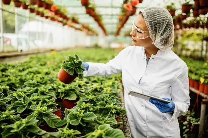 Plant Nursery Biotechnologist Using Touchpad Analyzing Growth Potted Flowers X - CH (Certified Horticulturist) study guide