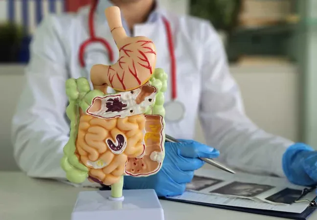 Doctor Examines Digestive System Model Ultrasound X - Colonic Hydrotherapist Certification study guide