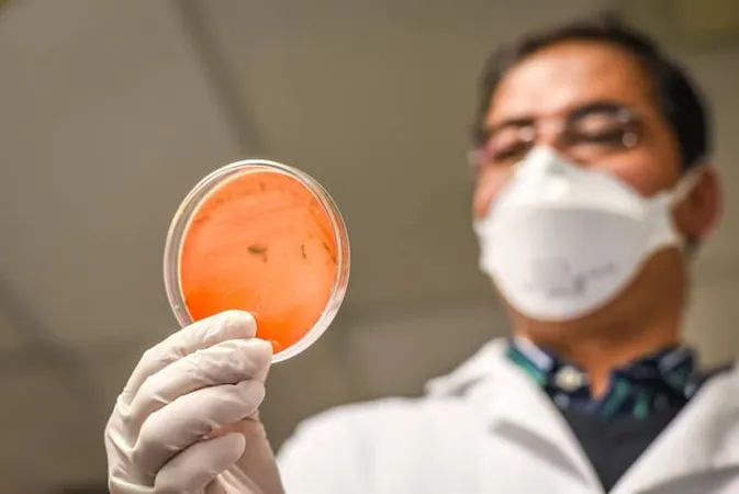Scientist Examining Laboratory Equipment - Certified Tissue Bank Specialist study guide