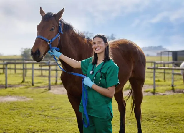 Good Veterinarians Talk Animals Shot Young Veterinarian Putting Bandage Horse Farm X - Equine Chiropractic Certification study guide