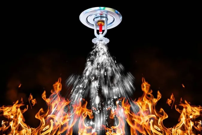 Fire Prevention Strategies - Fire and Life Safety Director study guide