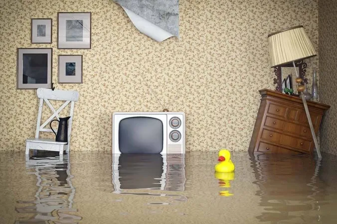 Emergency Flood Restoration - Flood Restoration study guide