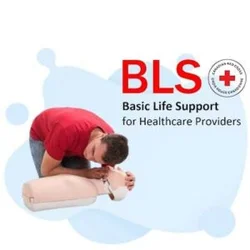 Basic Life Support 2026