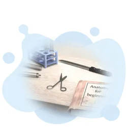 BMS - Bachelor of Mortuary Science