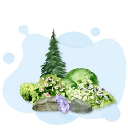 C27 License - C-27 Landscaping Contractor License