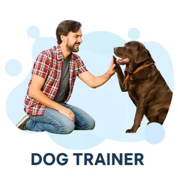 Certified Dog Trainer: All You Need to Know