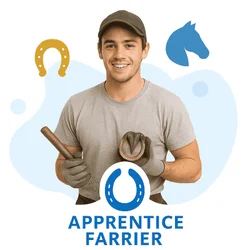 The Best Way to Certified Apprentice Farrier