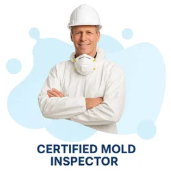 Certified Mold Inspector Exam Guide: Everything You Need to Know 2026 June