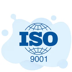 ISO 9001 Certified Auditor Practice Test