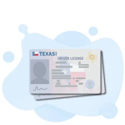 TX DMV (Texas Department of Motor Vehicle) Test: Guide & Tips