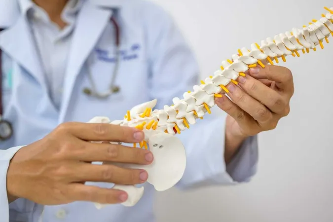 Chiropractic Board Requirements X - National Board of Chiropractic Examiners study guide