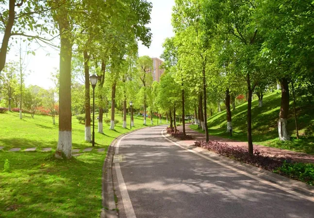 Road Nature X - National Recreation and Park Association study guide