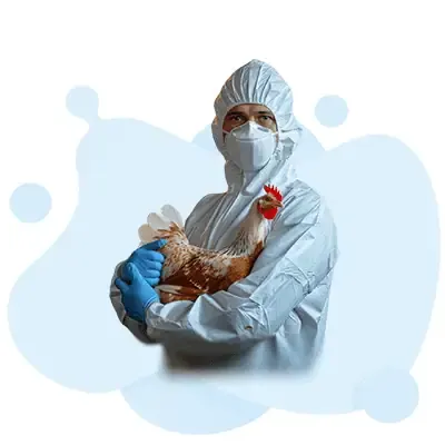 Mastering the Carpet Repair and Reinstallation Technician (RRT) Certification Exam - Carpet Repair and Reinstallation Technician certification guide