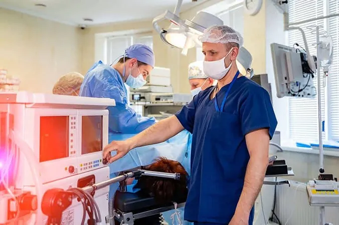 Respiratory Therapist Jobs - RRT Exam study guide