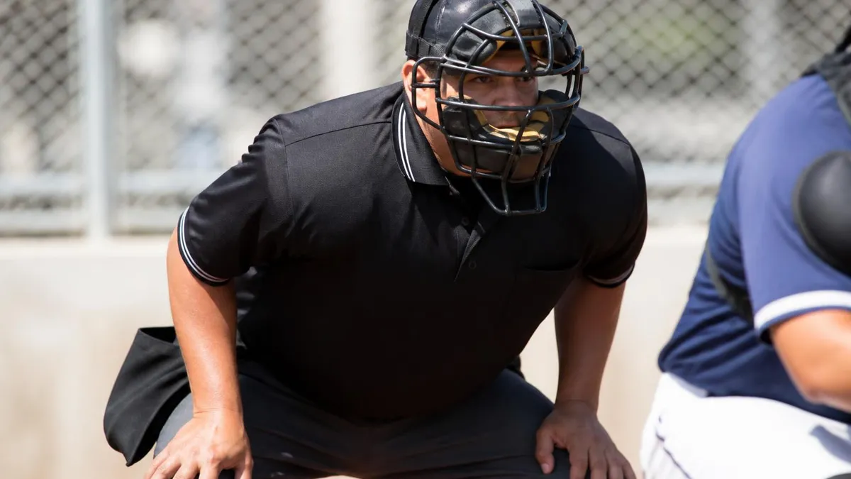 Baseball Umpire Overview: Certification, Levels & Career Path